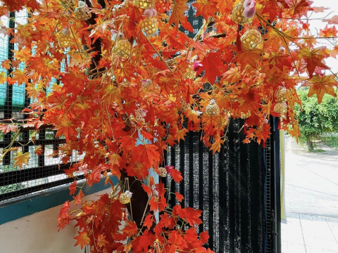 CƠ SỞ VẬT CHẤT